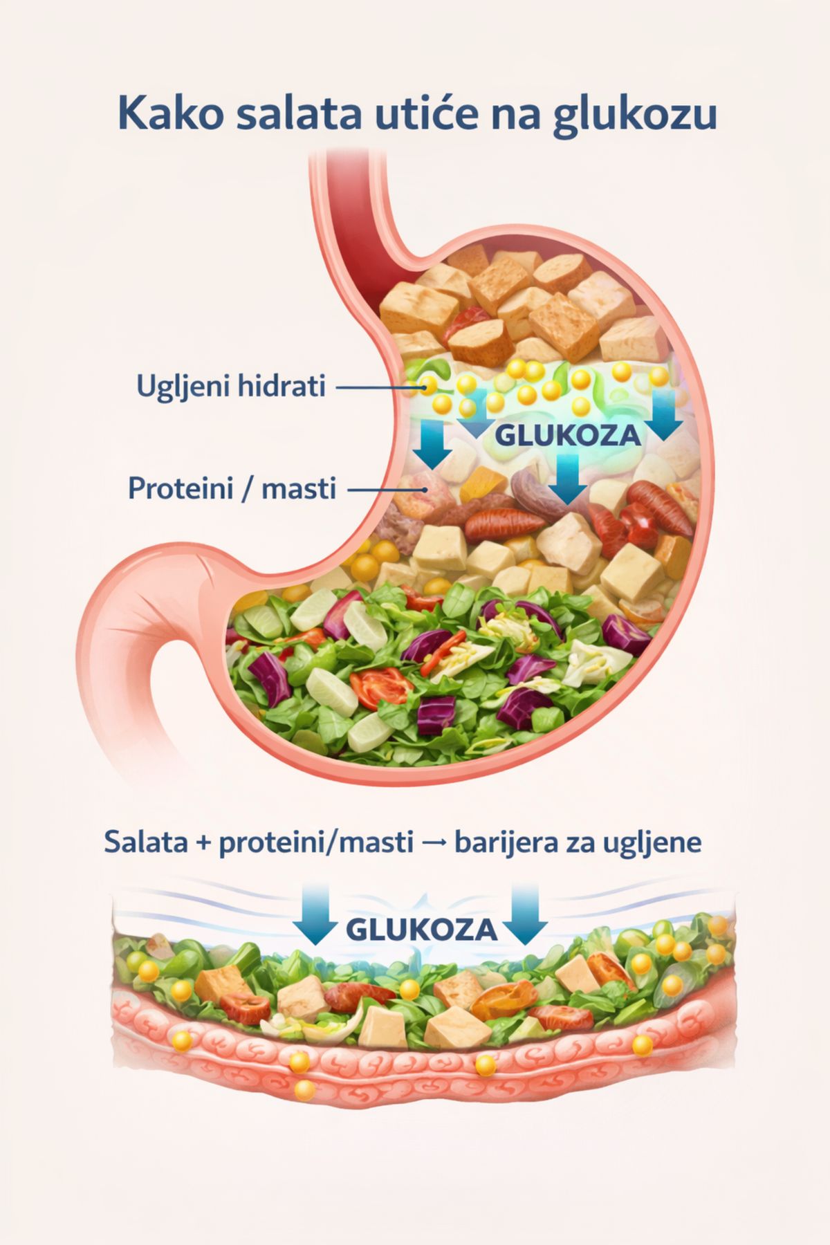Što više vlakana, proteina i masti prije ugljenih hidrata – sporija apsorpcija ugljenih hidrata.